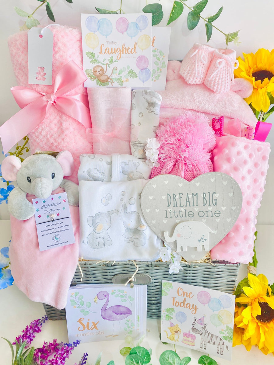 Large Baby Girl Hamper - Cute Bubble Elephants – Pink and Blue Hampers