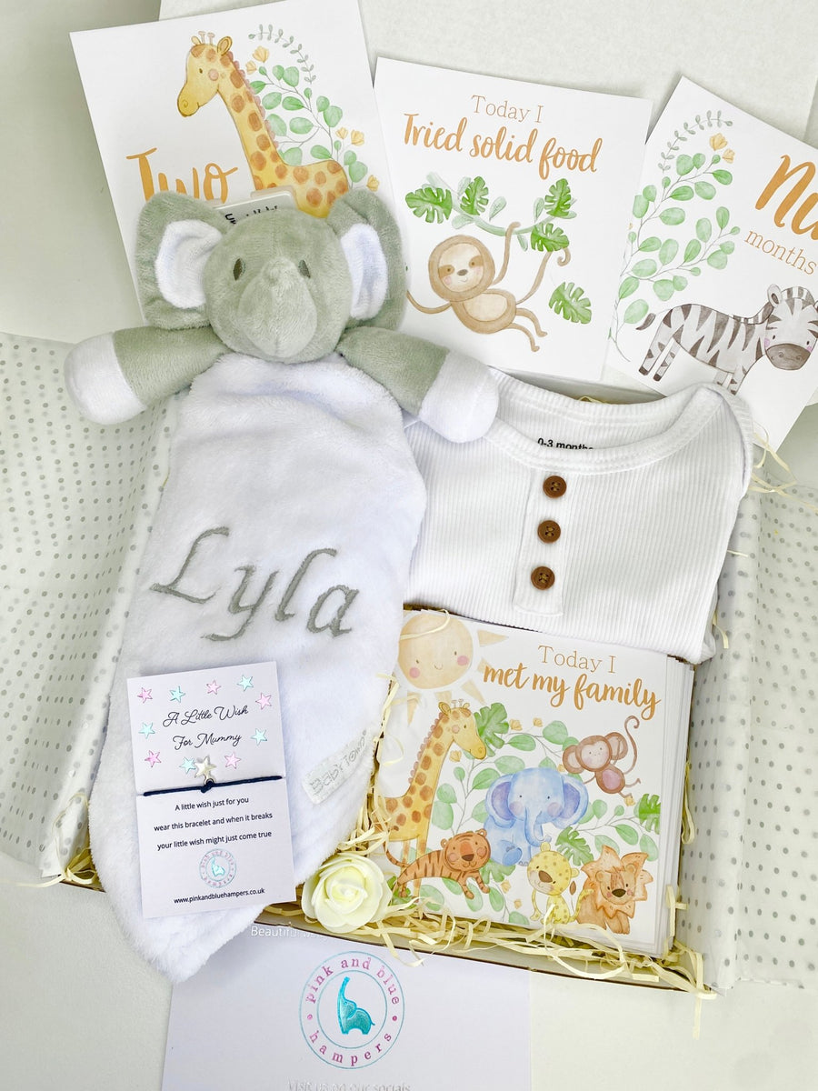 New Baby Hamper - Safari Themed Box – Pink and Blue Hampers