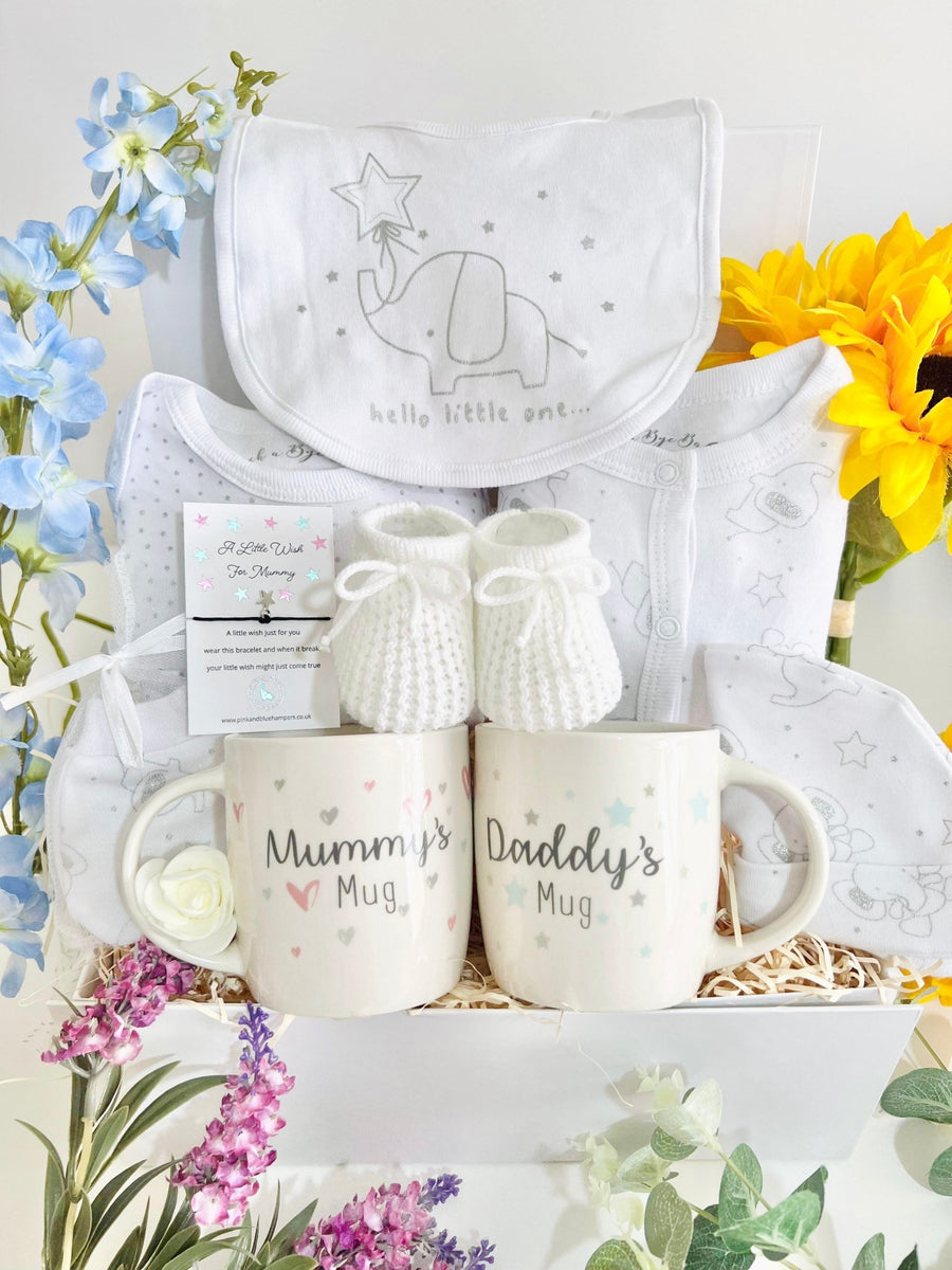 Baby Gift Hamper - Hello Little One Baby Gift – Pink and Blue Hampers
