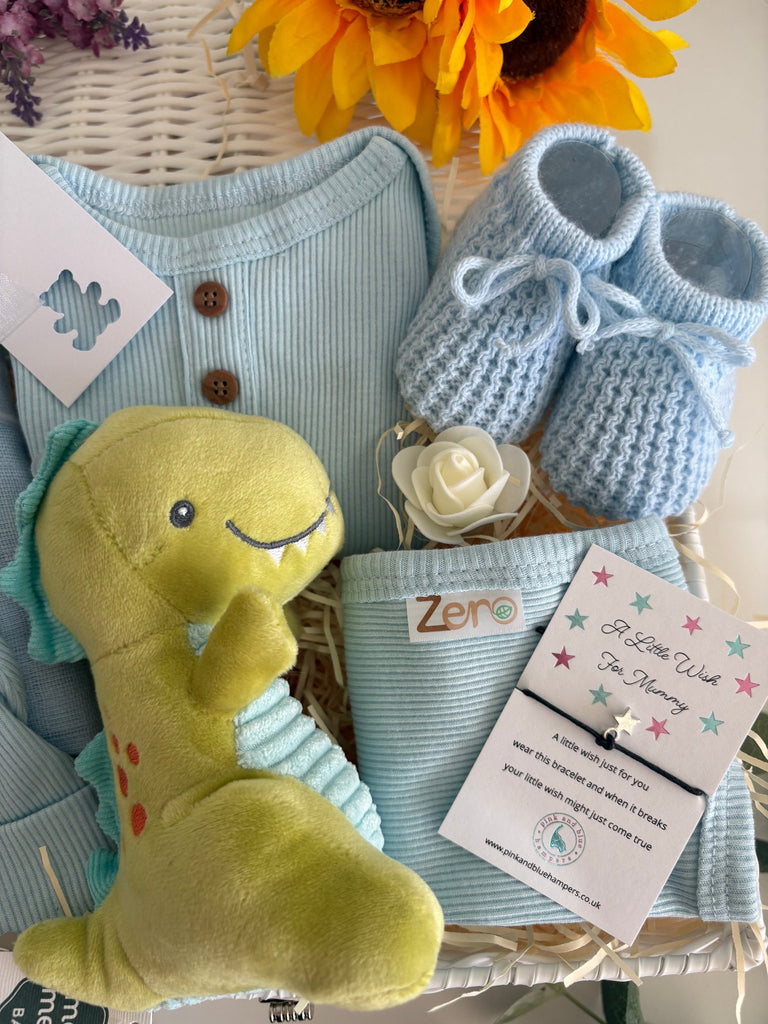 Baby Boy Gift Basket - Teeny Tiny Roars - Pink and Blue Hampers