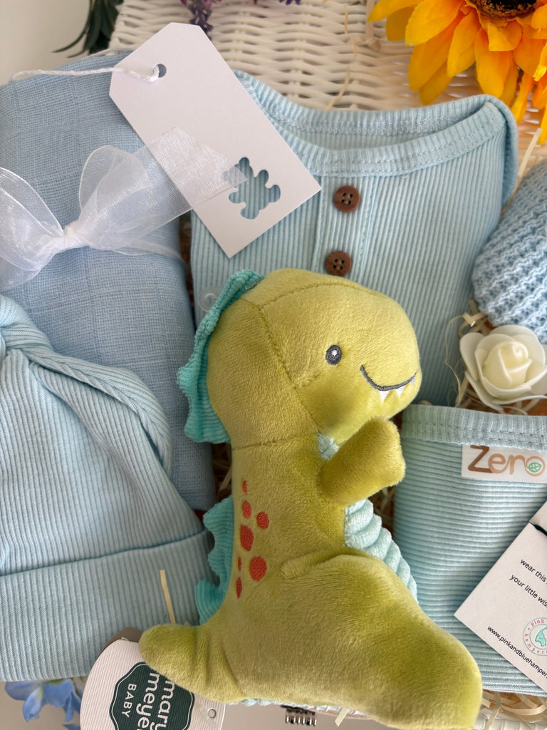 Baby Boy Gift Basket - Teeny Tiny Roars - Pink and Blue Hampers
