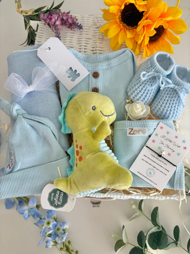 Baby Boy Gift Basket - Teeny Tiny Roars - Pink and Blue Hampers