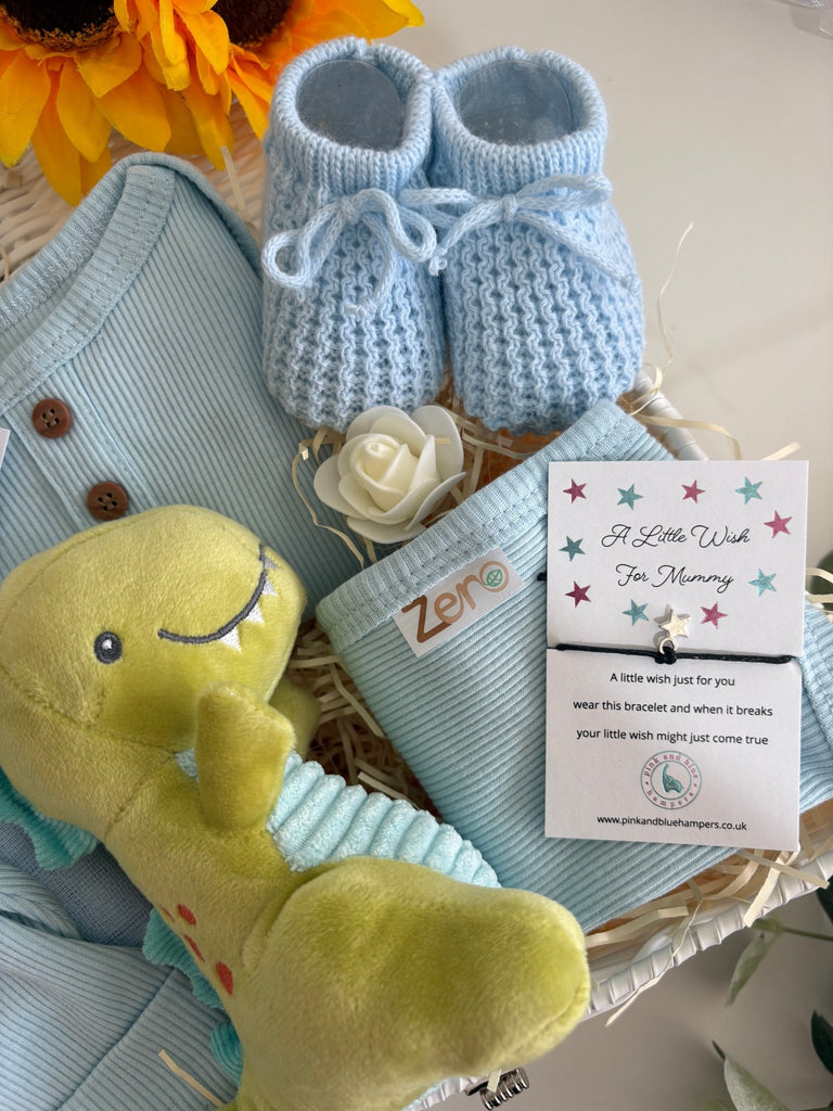 Baby Boy Gift Basket - Teeny Tiny Roars - Pink and Blue Hampers
