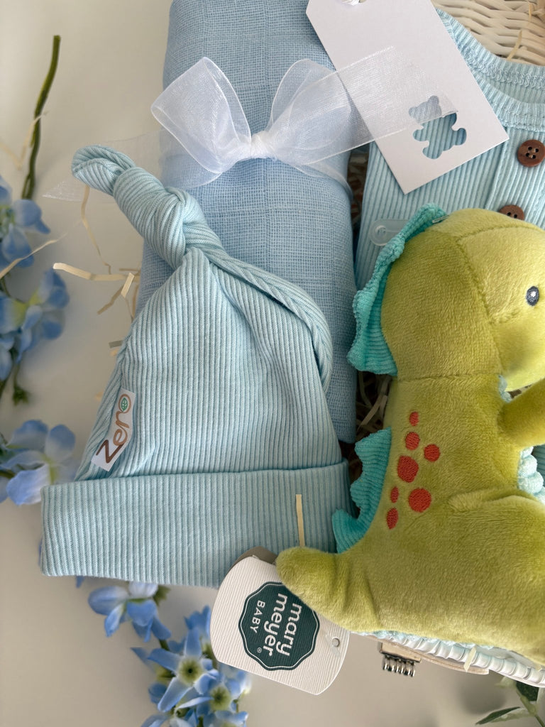 Baby Boy Gift Basket - Teeny Tiny Roars - Pink and Blue Hampers