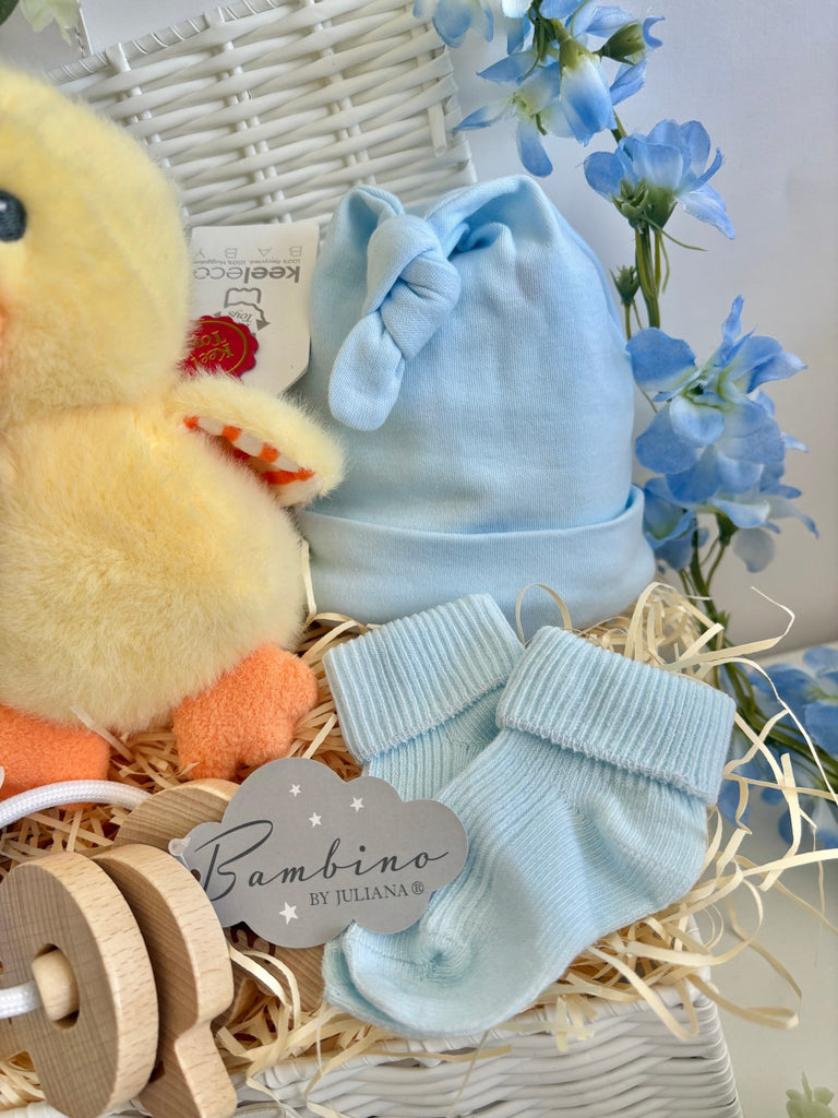Baby Boy Gift - Tiny Quacks - Pink and Blue Hampers