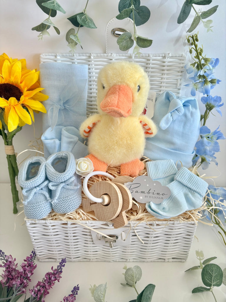 Baby Boy Gift - Tiny Quacks - Pink and Blue Hampers