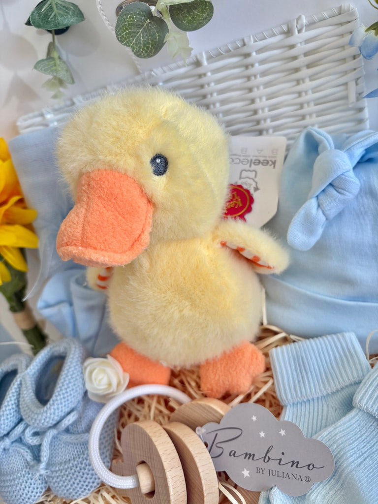 Baby Boy Gift - Tiny Quacks - Pink and Blue Hampers