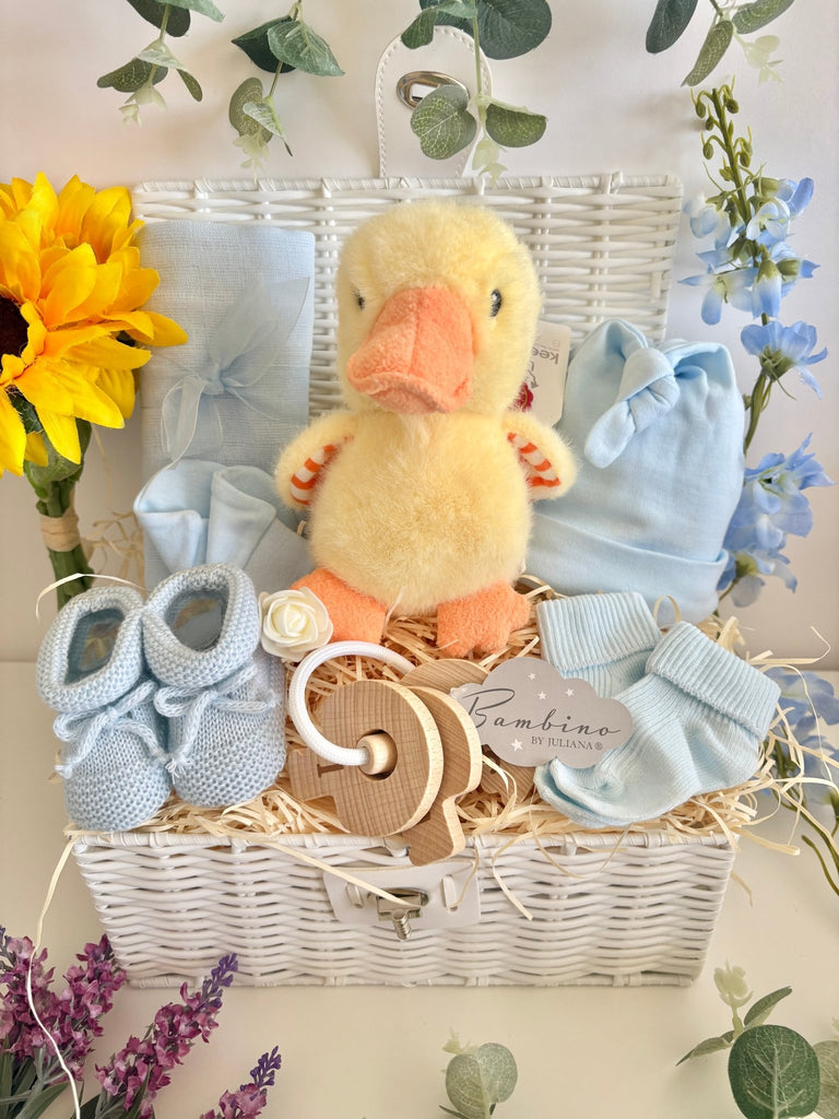 Baby Boy Gift - Tiny Quacks - Pink and Blue Hampers