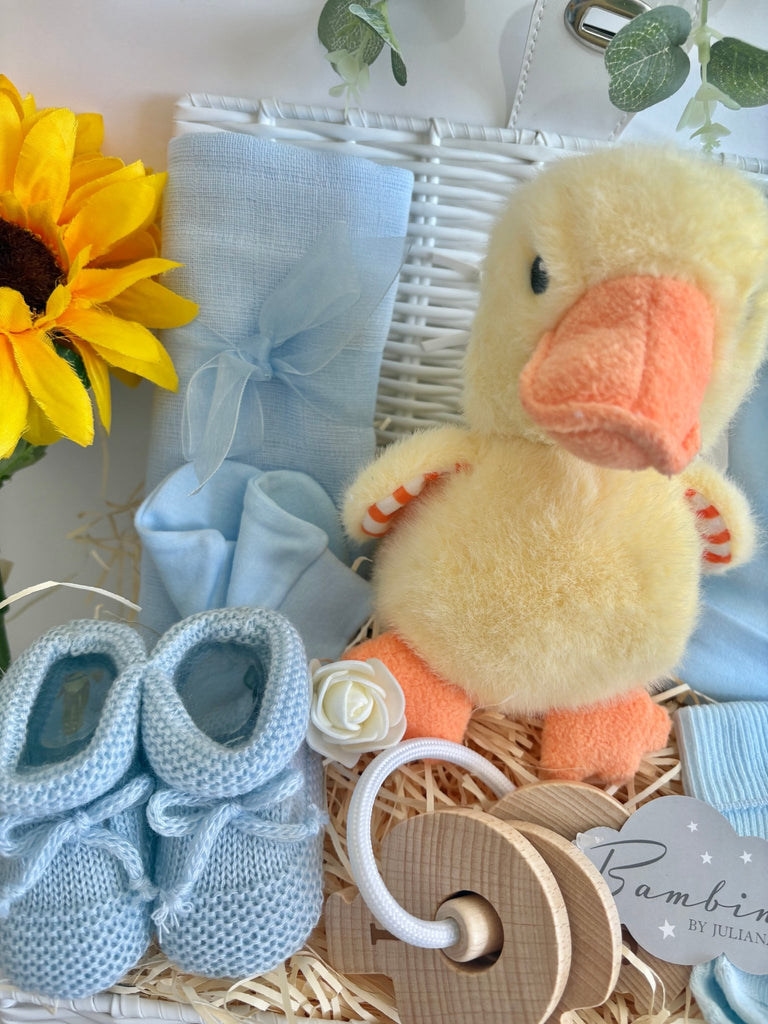 Baby Boy Gift - Tiny Quacks - Pink and Blue Hampers