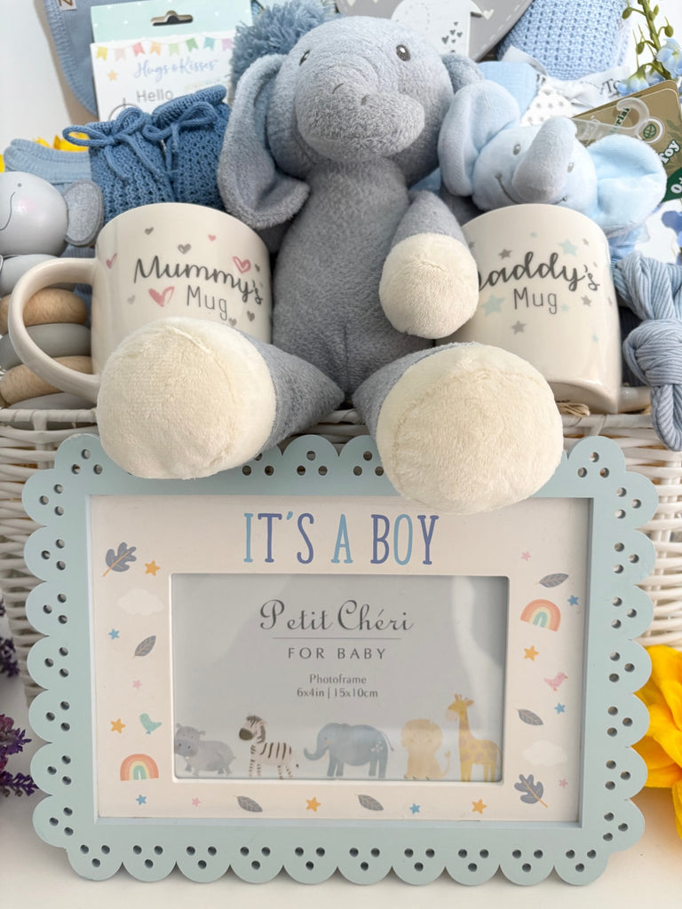 Baby Boy Hamper - Big Safari Dreams - Pink and Blue Hampers