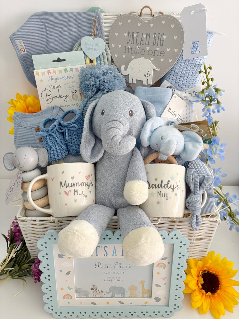 Baby Boy Hamper - Big Safari Dreams - Pink and Blue Hampers
