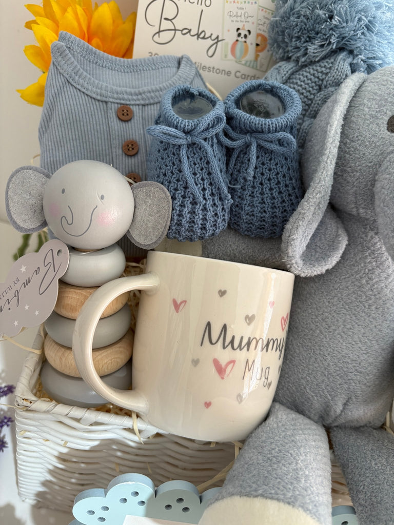 Baby Boy Hamper - Big Safari Dreams - Pink and Blue Hampers