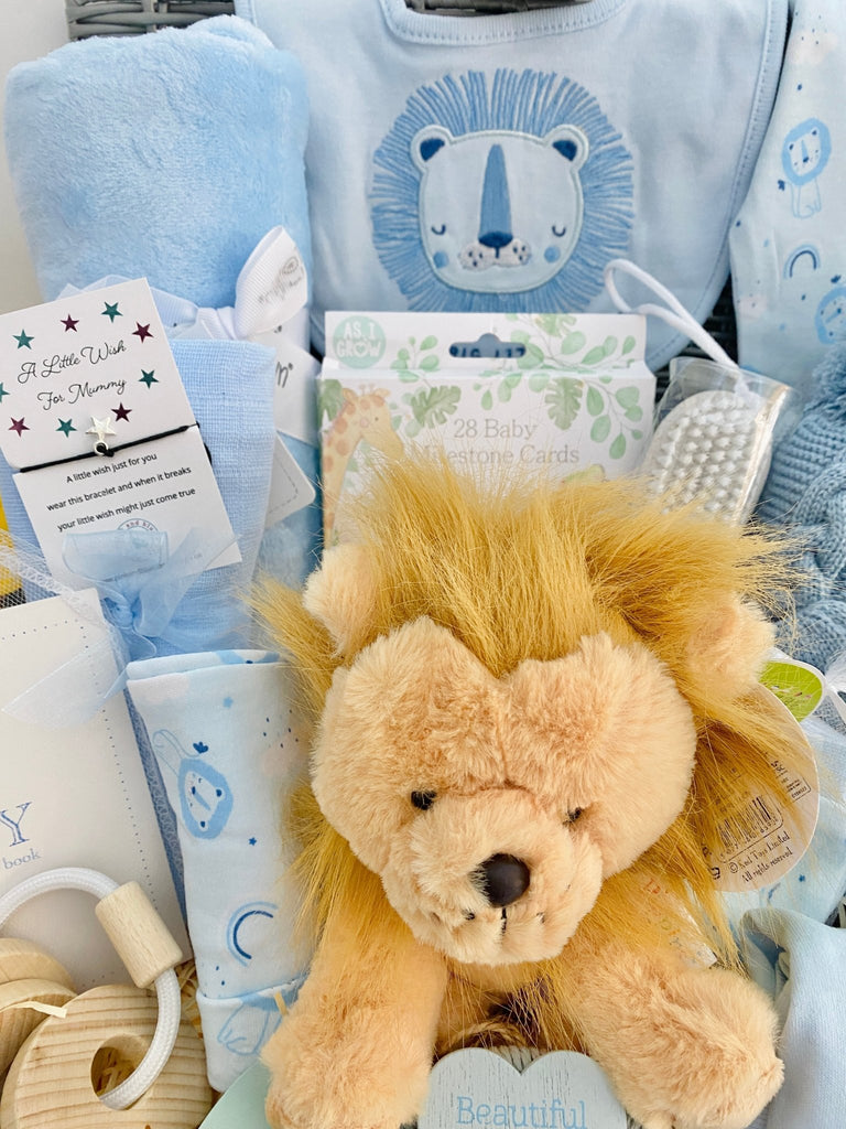 Baby Boy Hamper - Rainbow Roaring Lion - Pink and Blue Hampers