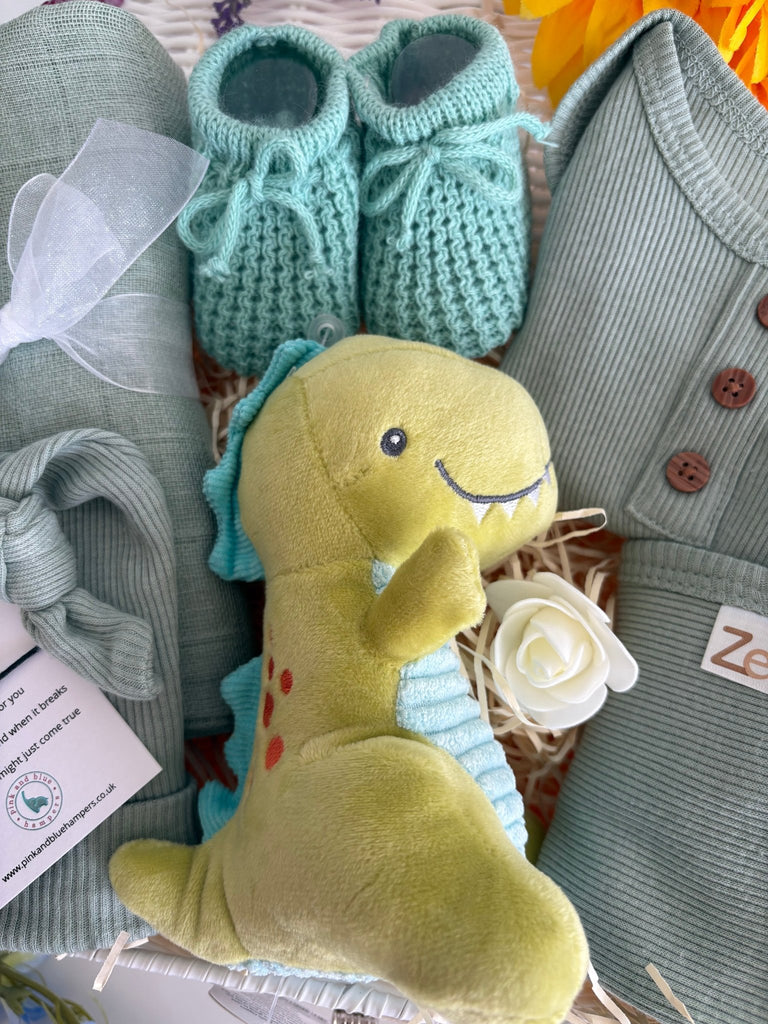 Baby Boy Hamper - Roars and Cuddles - Pink and Blue Hampers