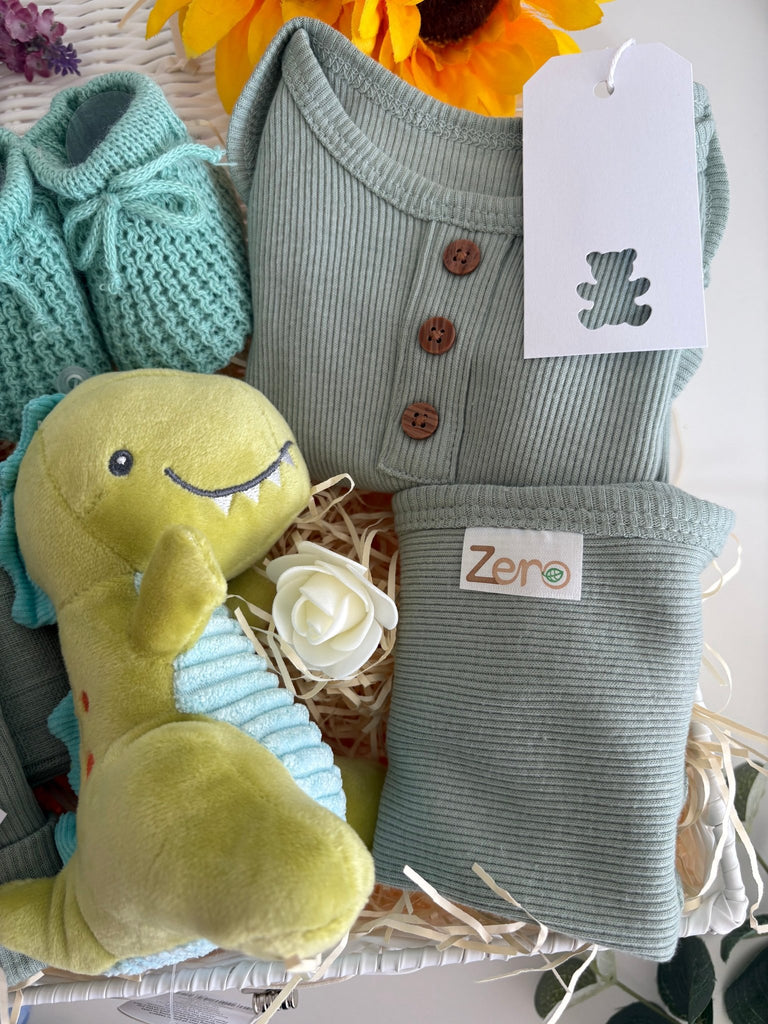 Baby Boy Hamper - Roars and Cuddles - Pink and Blue Hampers