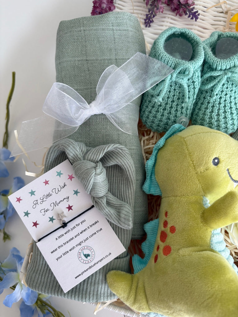 Baby Boy Hamper - Roars and Cuddles - Pink and Blue Hampers