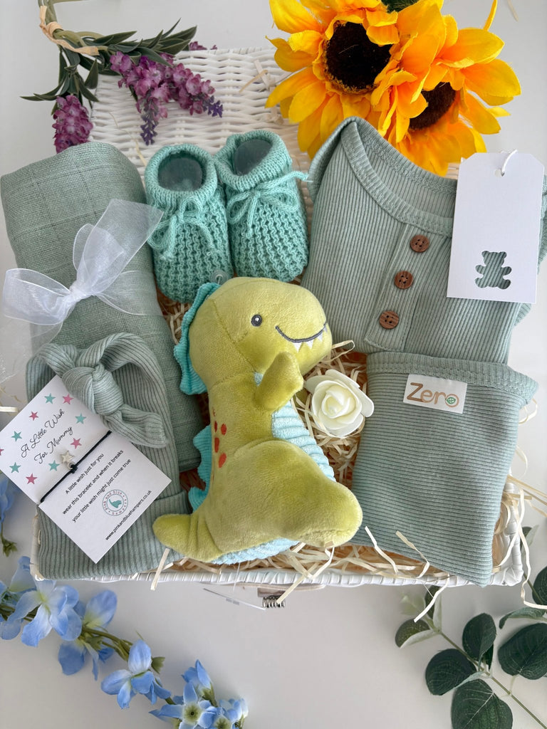 Baby Boy Hamper - Roars and Cuddles - Pink and Blue Hampers