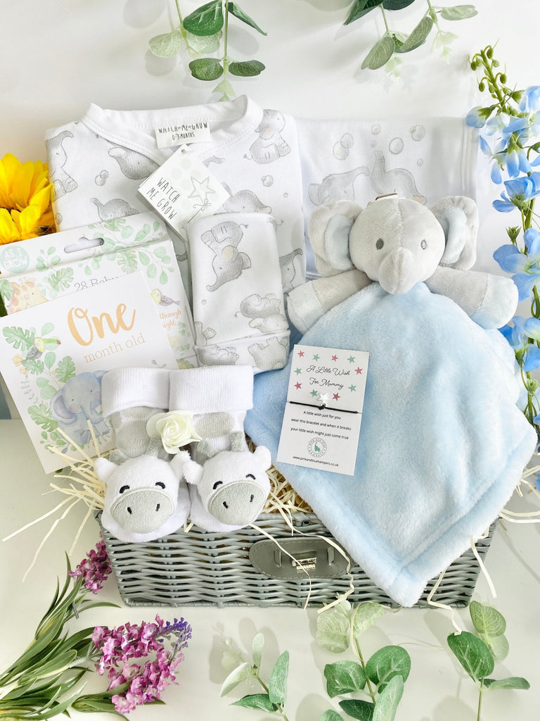 Baby Boy Hamper - Safari Dreams - Pink and Blue Hampers