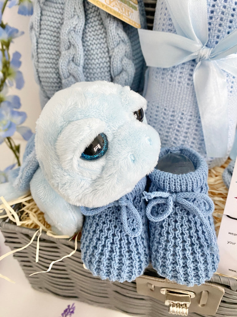 Baby Boy Hamper - Tiny Turtle - Pink and Blue Hampers