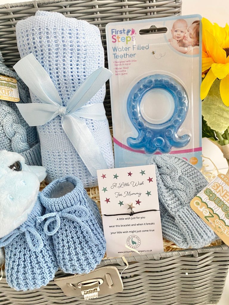 Baby Boy Hamper - Tiny Turtle - Pink and Blue Hampers