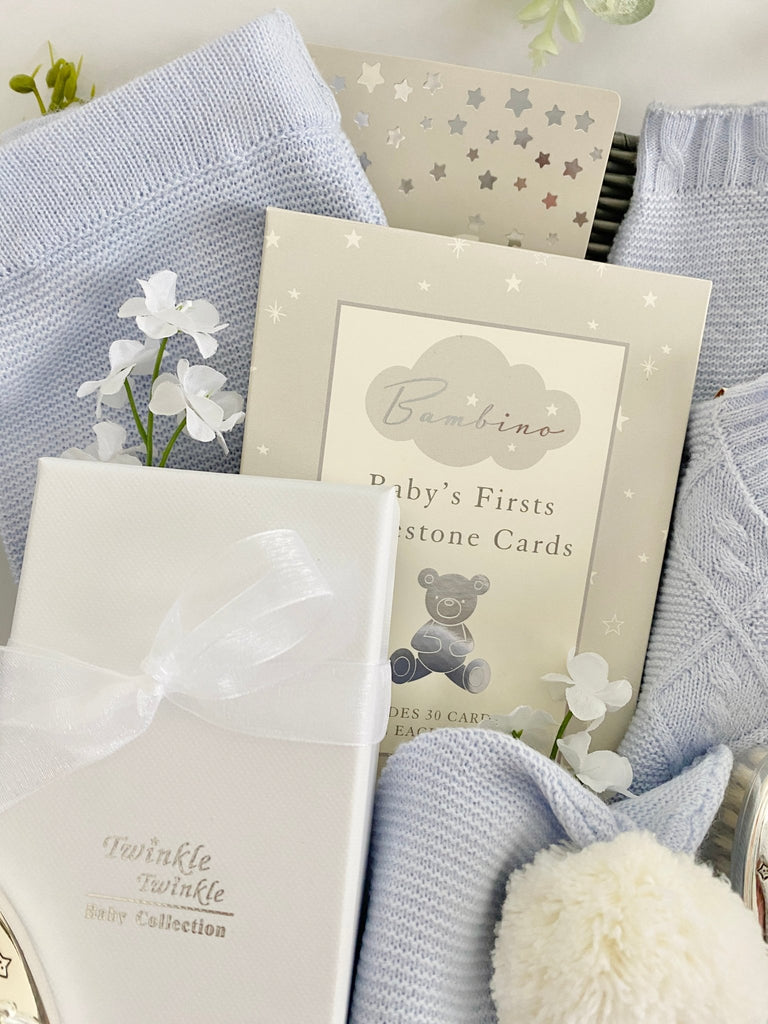 Baby Boy Hamper - Treasured Teddy & Elly - Pink and Blue Hampers