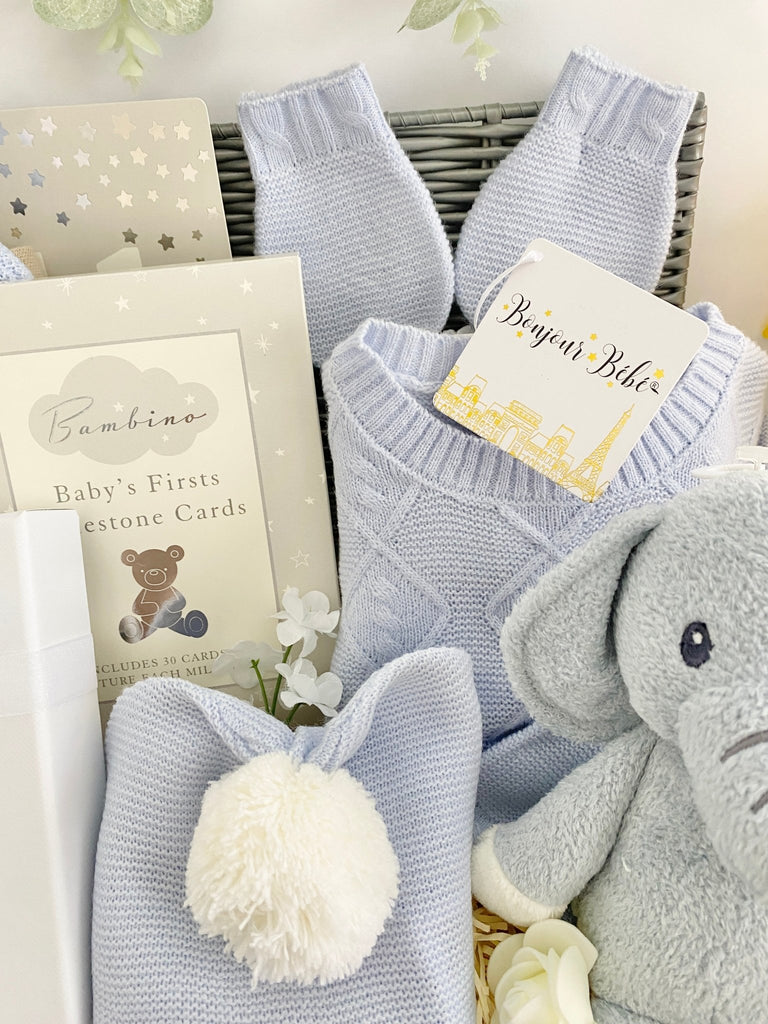 Baby Boy Hamper - Treasured Teddy & Elly - Pink and Blue Hampers
