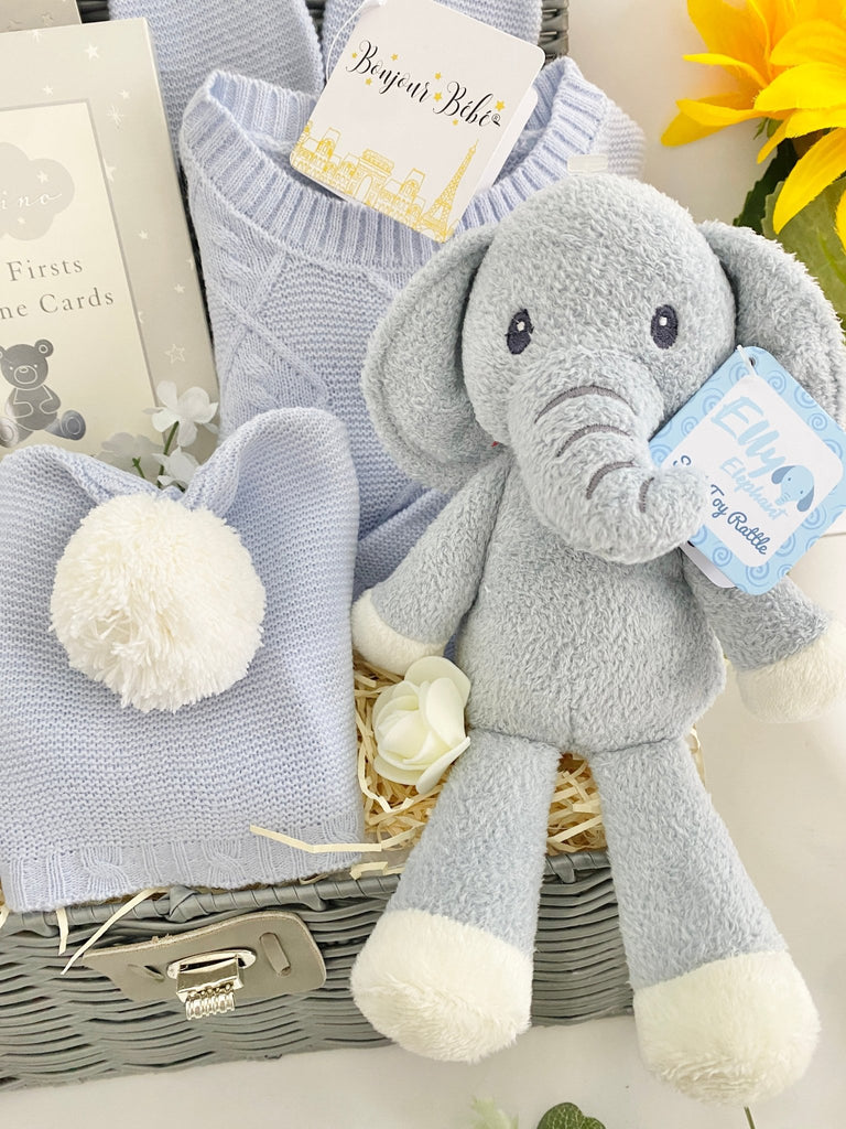 Baby Boy Hamper - Treasured Teddy & Elly - Pink and Blue Hampers