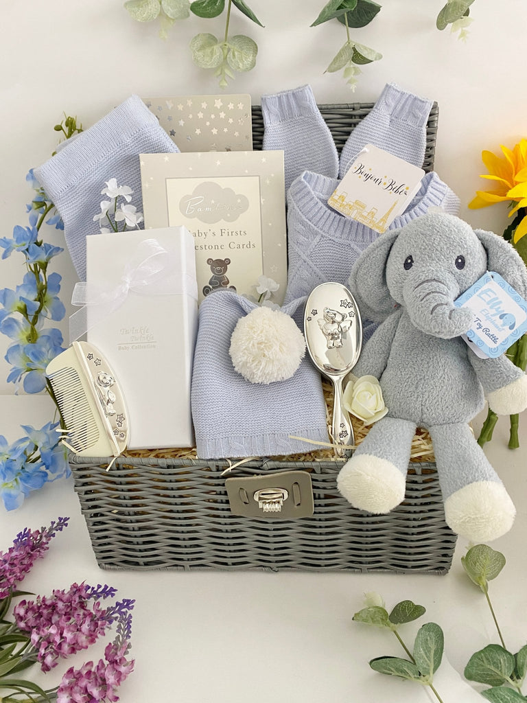 Baby Boy Hamper - Treasured Teddy & Elly - Pink and Blue Hampers