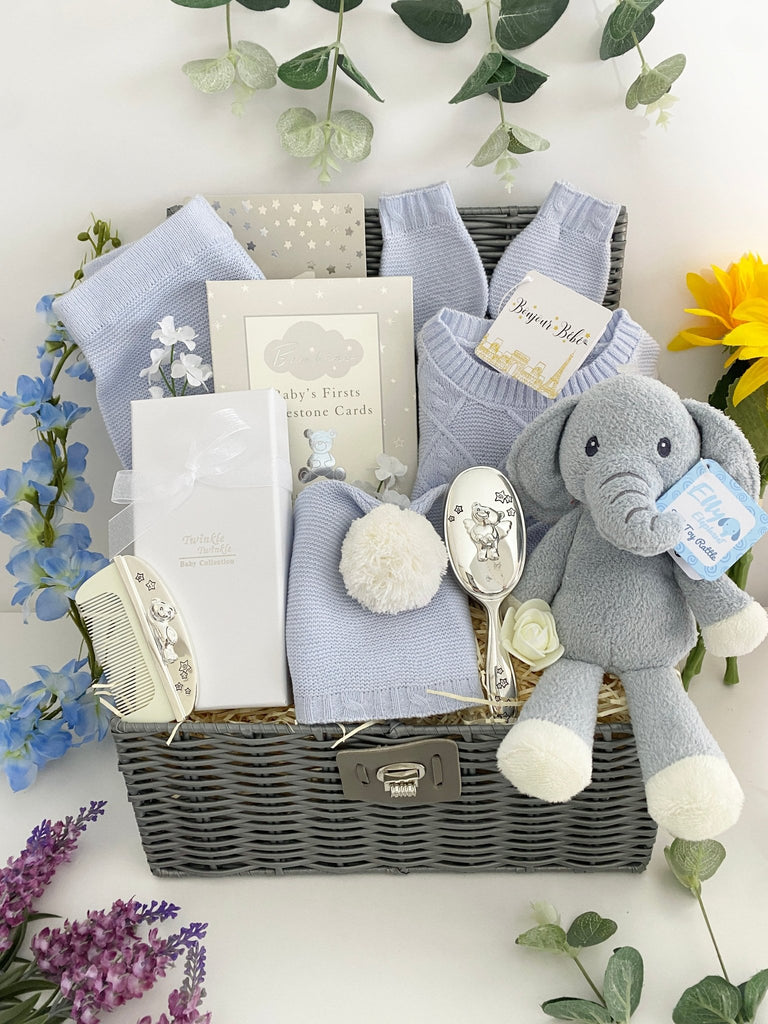 Baby Boy Hamper - Treasured Teddy & Elly - Pink and Blue Hampers