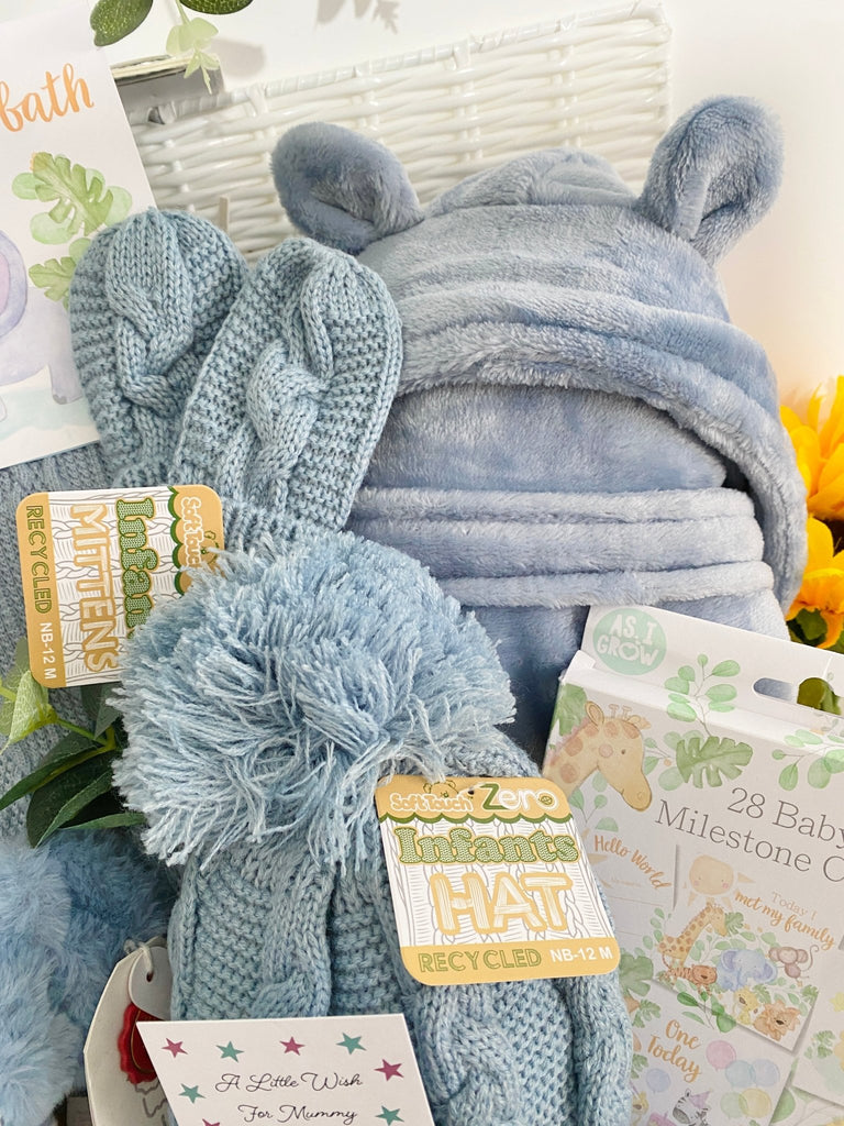 Baby Boy Hamper - Wrapped In Love - Pink and Blue Hampers
