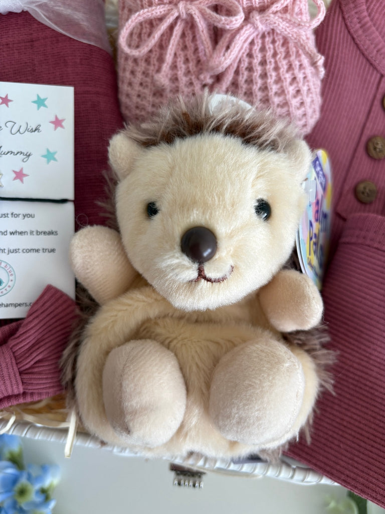 Baby Girl Gift - Hoglet Hugs - Pink and Blue Hampers