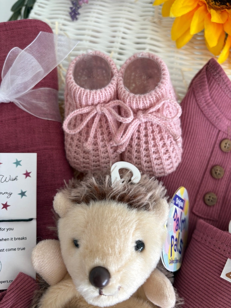 Baby Girl Gift - Hoglet Hugs - Pink and Blue Hampers