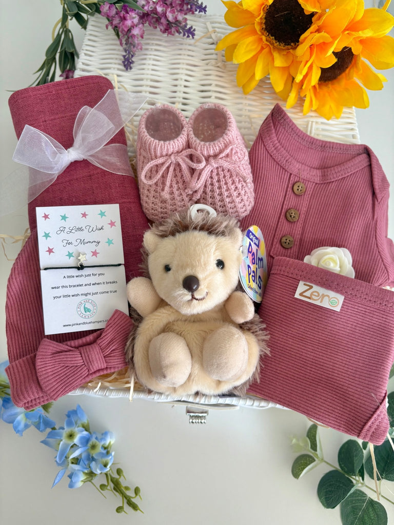 Baby Girl Gift - Hoglet Hugs - Pink and Blue Hampers