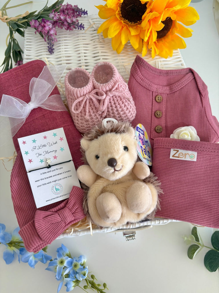 Baby Girl Gift - Hoglet Hugs - Pink and Blue Hampers