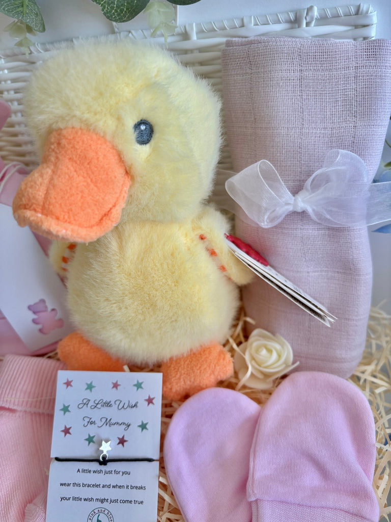 Baby Girl Gift - Little Duck - Pink and Blue Hampers