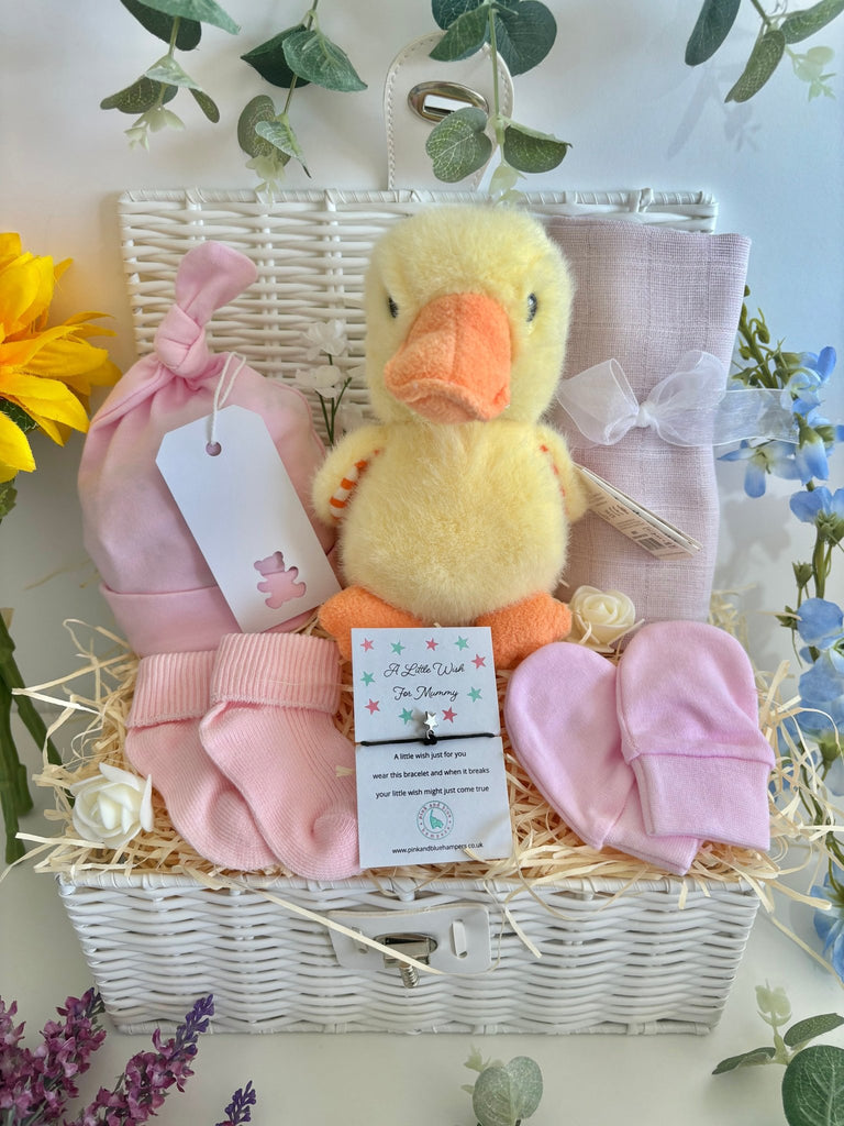 Baby Girl Gift - Little Duck - Pink and Blue Hampers