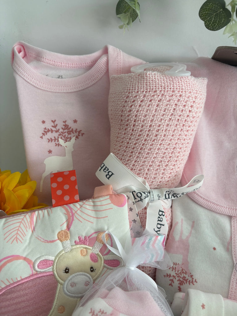 Baby Girl Hamper - Deery Dreams - Pink and Blue Hampers