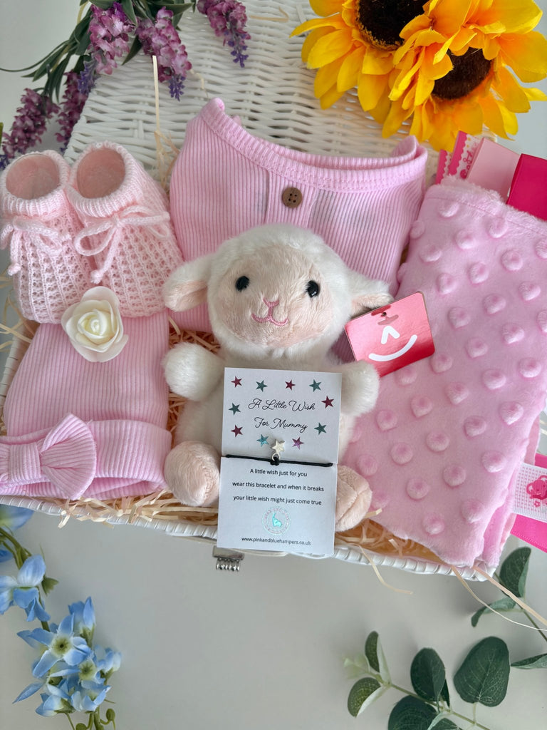 Baby Girl Hamper - Lamby Love - Pink and Blue Hampers