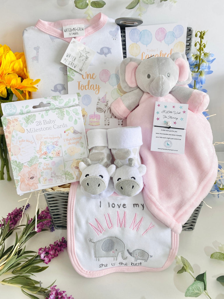 Baby Girl Hamper - My Mummy Is The Best - Pink and Blue Hampers