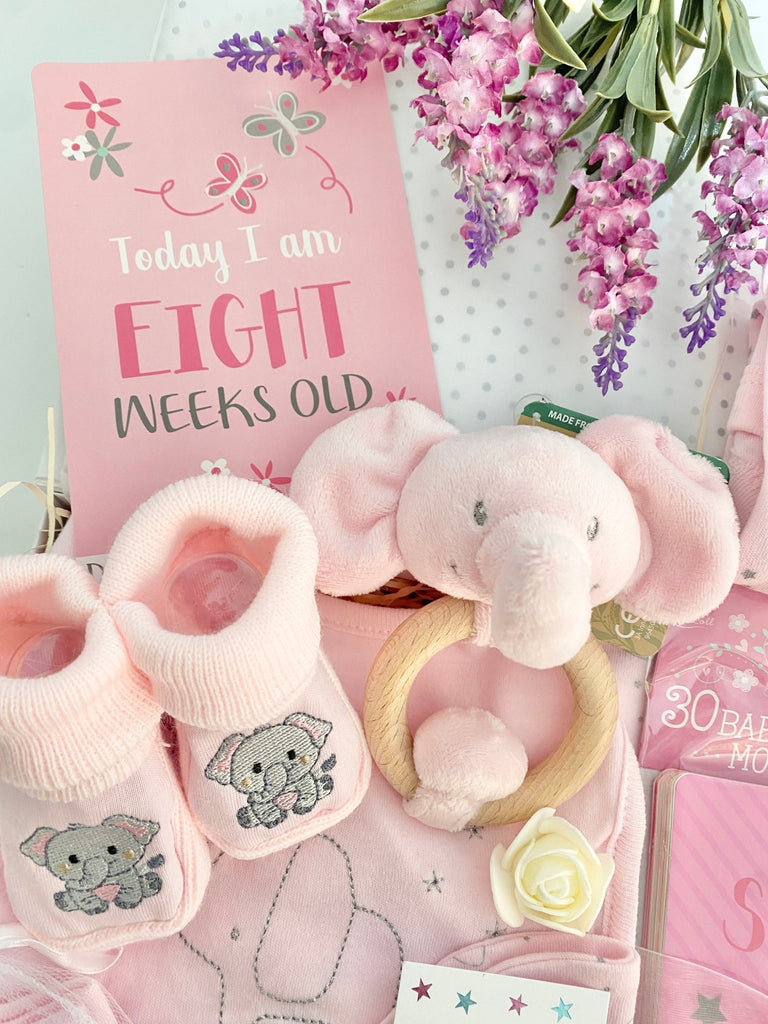 Baby Girl Hamper - Sparkly Elephants & Stars - Pink and Blue Hampers