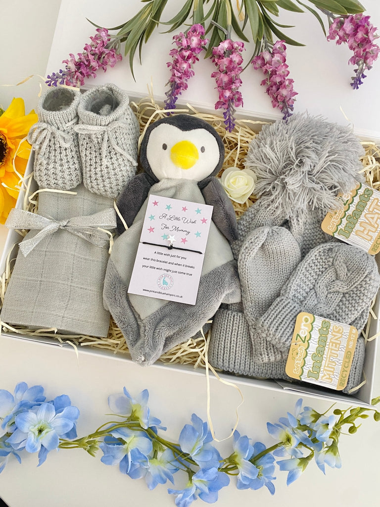 Baby Hamper - Cute Little Penguin - Pink and Blue Hampers
