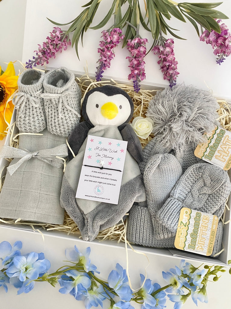 Baby Hamper - Cute Little Penguin - Pink and Blue Hampers