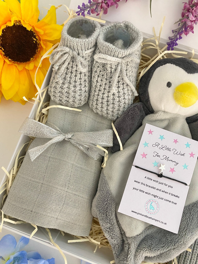 Baby Hamper - Cute Little Penguin - Pink and Blue Hampers