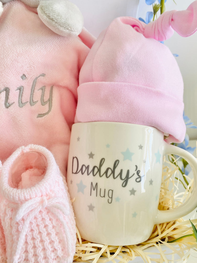 Baby Hamper For Two Daddies - Precious Moments - Pink and Blue Hampers