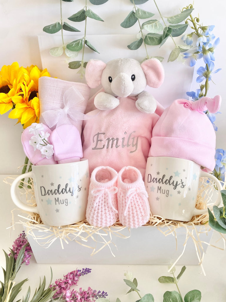 Baby Hamper For Two Daddies - Precious Moments - Pink and Blue Hampers
