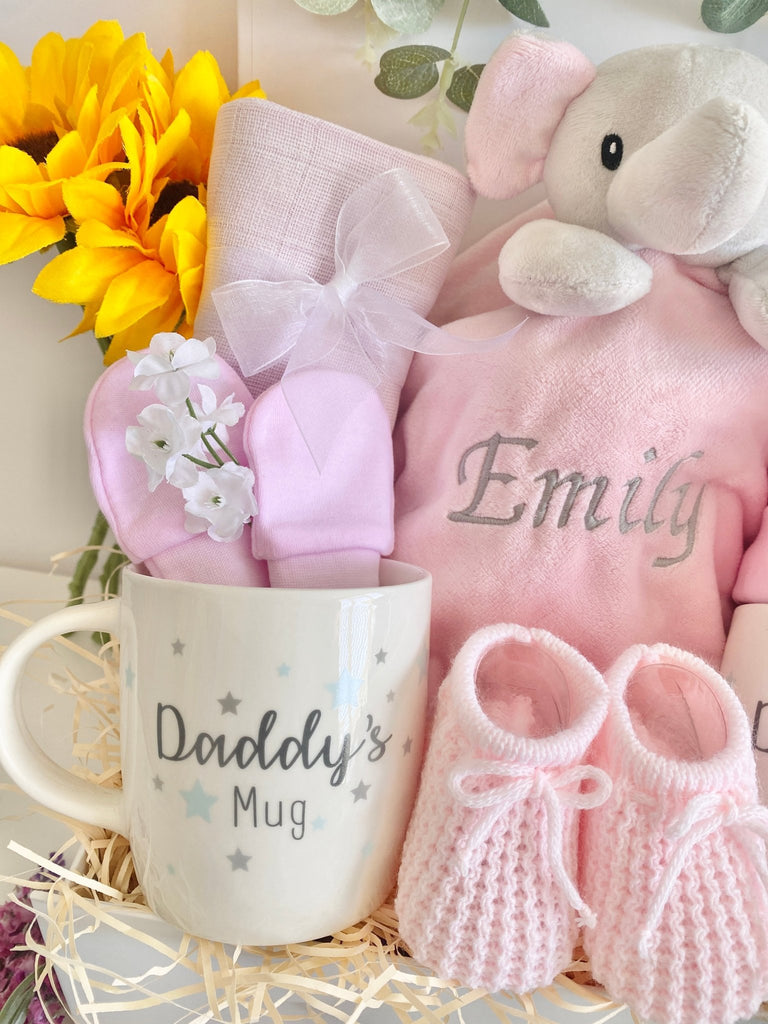 Baby Hamper For Two Daddies - Precious Moments - Pink and Blue Hampers