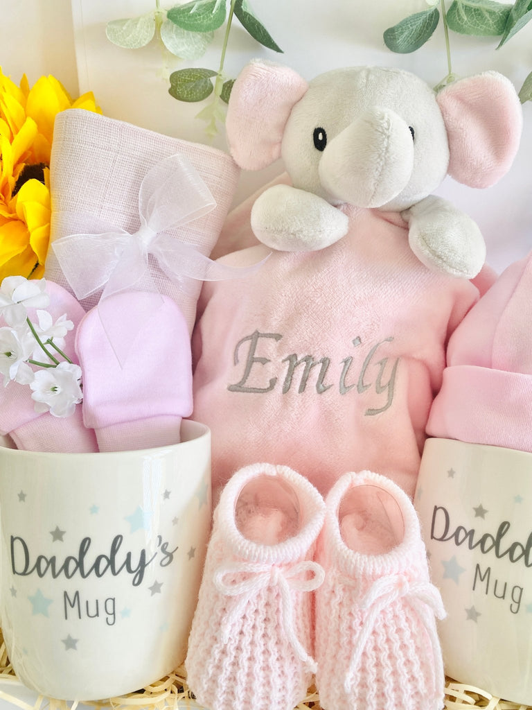 Baby Hamper For Two Daddies - Precious Moments - Pink and Blue Hampers