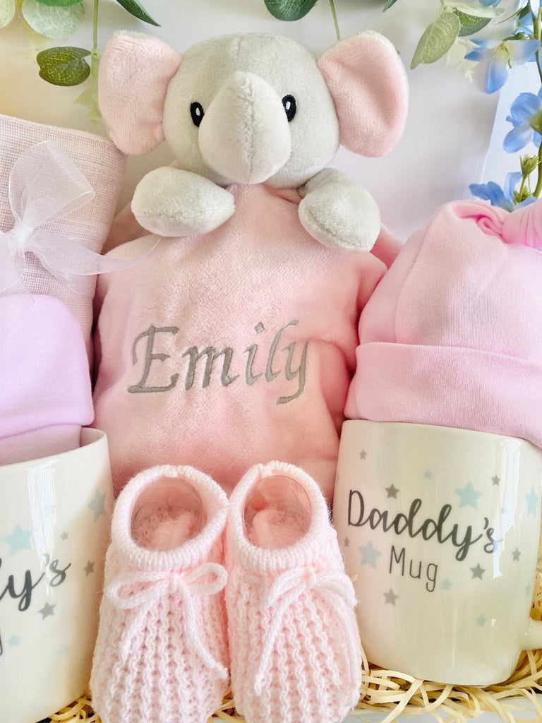Baby Hamper For Two Daddies - Precious Moments - Pink and Blue Hampers