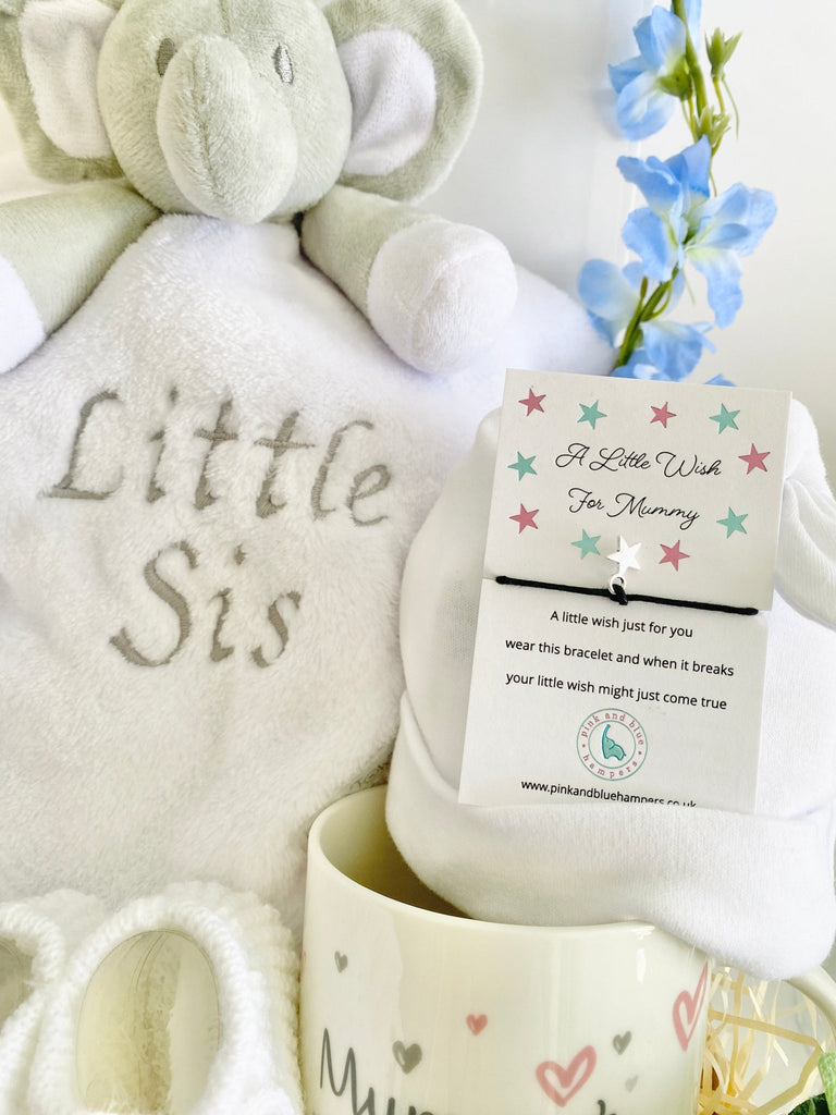 Baby Hamper For Two Mummies - Sweet Baby - Pink and Blue Hampers