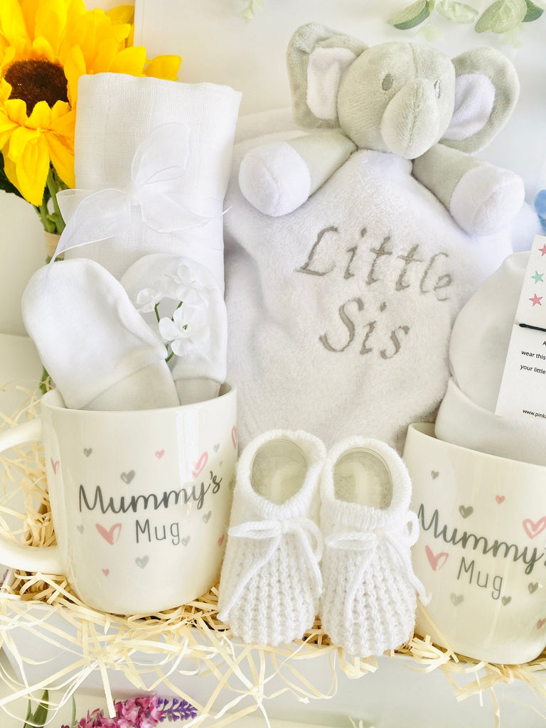 Baby Hamper For Two Mummies - Sweet Baby - Pink and Blue Hampers